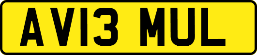 AV13MUL