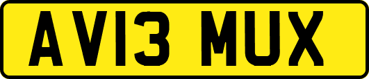 AV13MUX