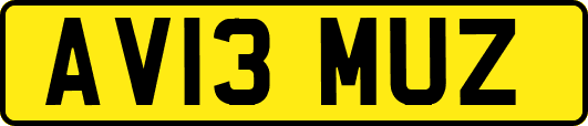 AV13MUZ
