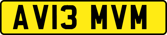 AV13MVM