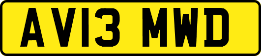 AV13MWD