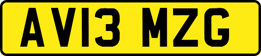 AV13MZG