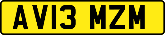 AV13MZM