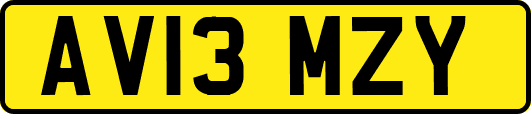 AV13MZY