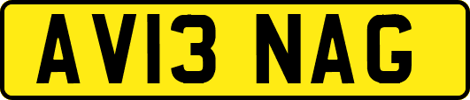 AV13NAG