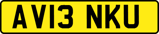 AV13NKU
