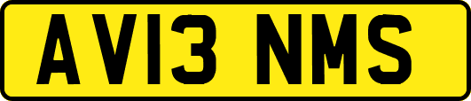 AV13NMS