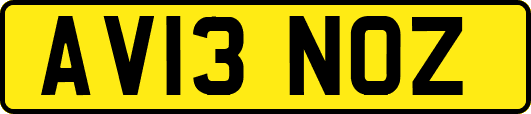 AV13NOZ