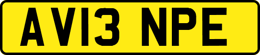 AV13NPE