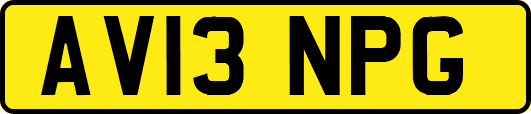 AV13NPG
