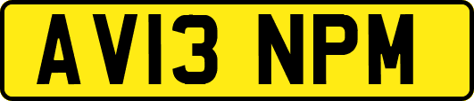 AV13NPM