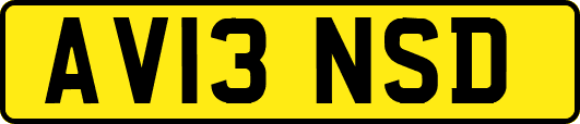 AV13NSD