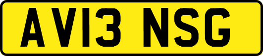 AV13NSG