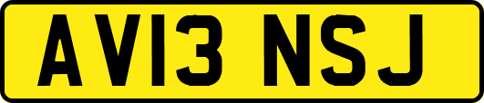 AV13NSJ