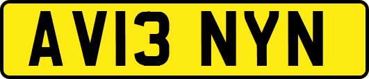 AV13NYN