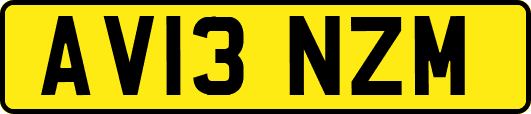 AV13NZM