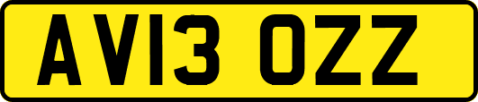 AV13OZZ