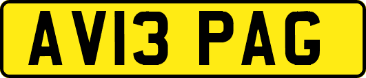 AV13PAG