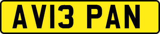 AV13PAN