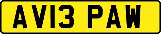 AV13PAW
