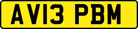 AV13PBM