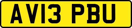 AV13PBU