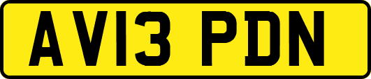 AV13PDN