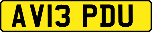 AV13PDU