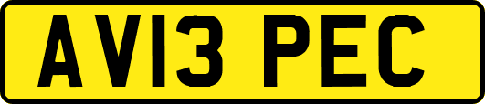 AV13PEC