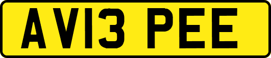 AV13PEE