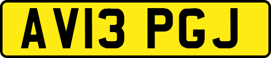 AV13PGJ