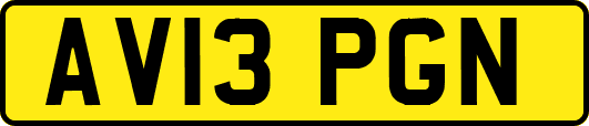 AV13PGN