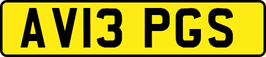 AV13PGS