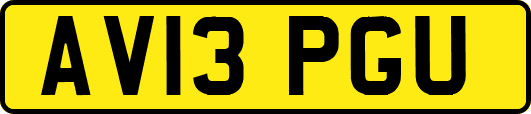 AV13PGU