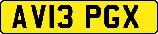 AV13PGX