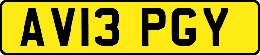 AV13PGY