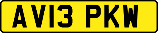 AV13PKW