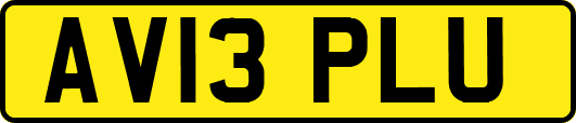 AV13PLU