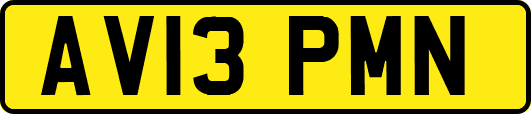 AV13PMN