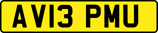 AV13PMU