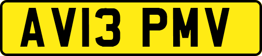 AV13PMV