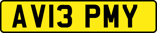 AV13PMY
