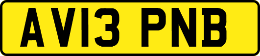 AV13PNB