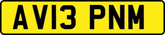 AV13PNM