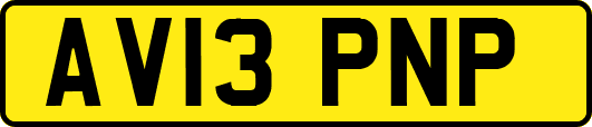 AV13PNP