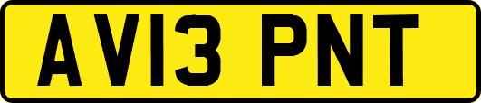 AV13PNT