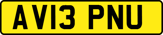 AV13PNU