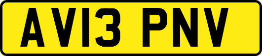 AV13PNV