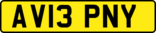 AV13PNY