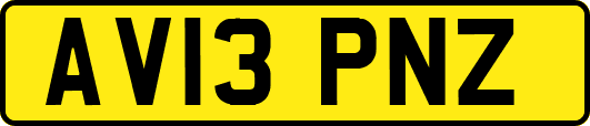 AV13PNZ